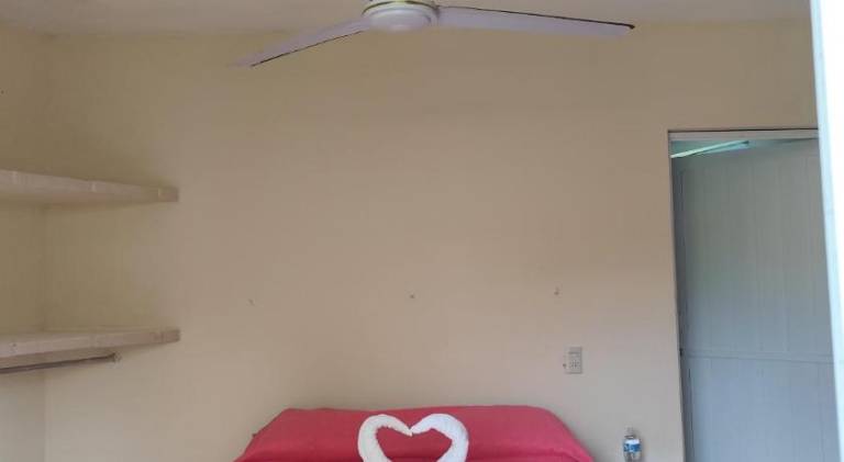foto11