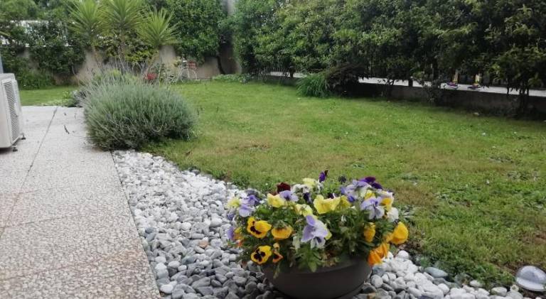 foto24