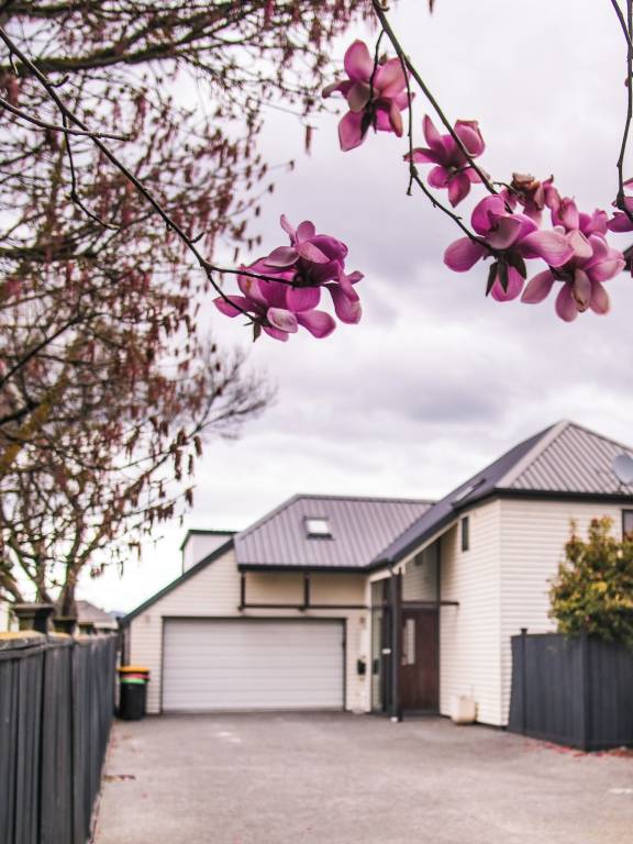 House Riccarton