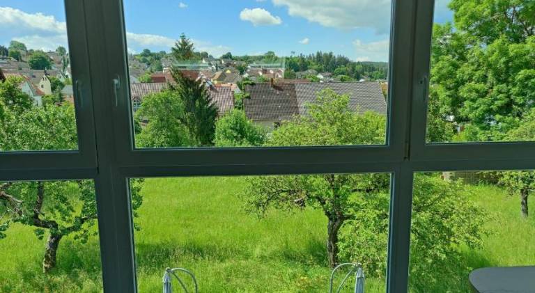 foto17