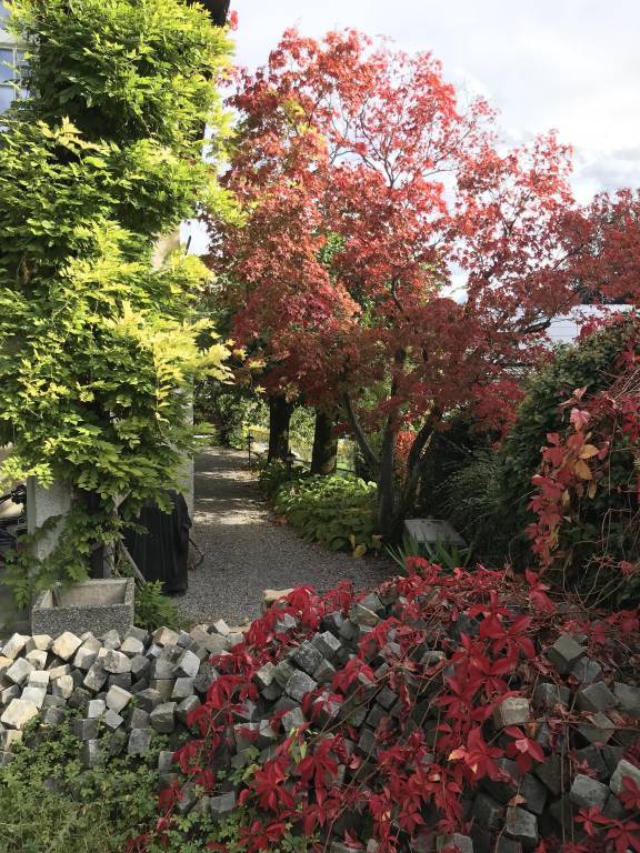 foto43