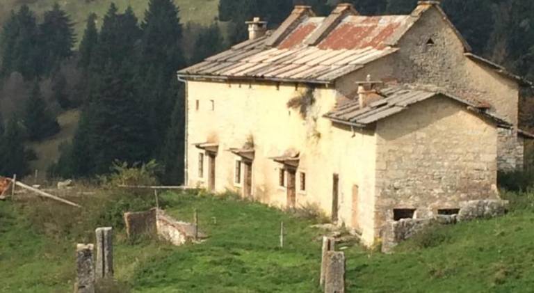foto41