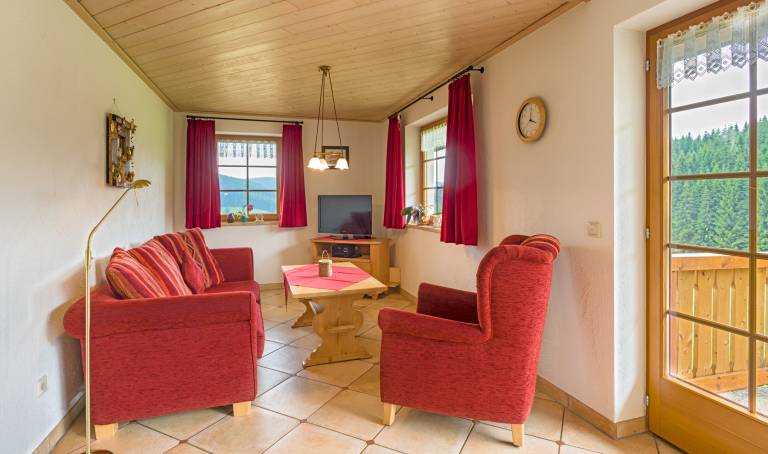 Apartment  Titisee-Neustadt