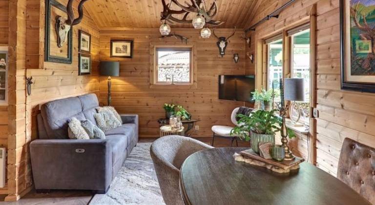 Beautiful lodge with patio, sauna & pool | Pets are welcome in Hulshorst