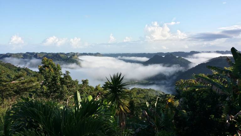 Pension Utuado