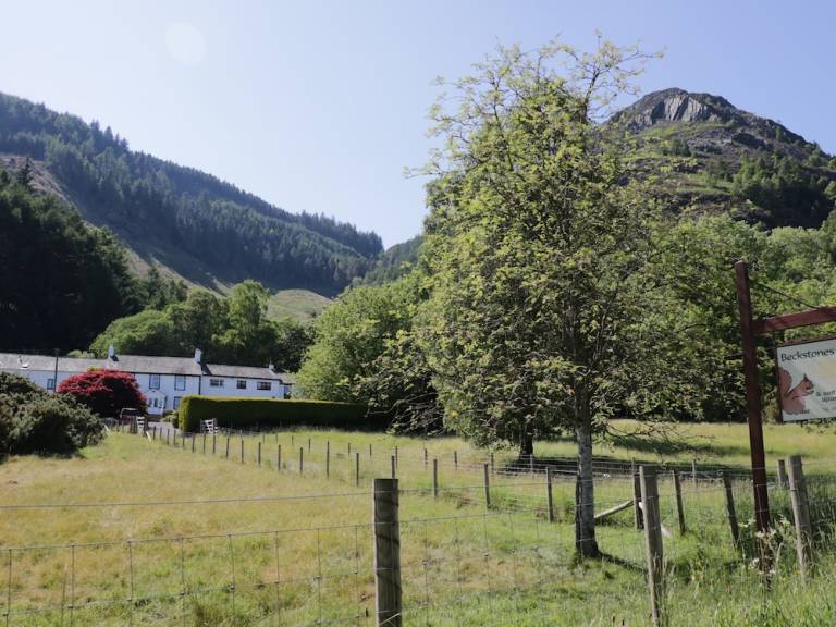 Cottage Above Derwent