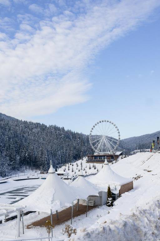 Glacier Premium Apartments in Bukovel