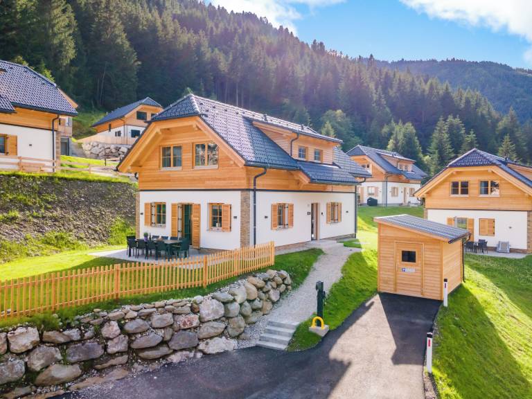 Chalet Donnersbachwald