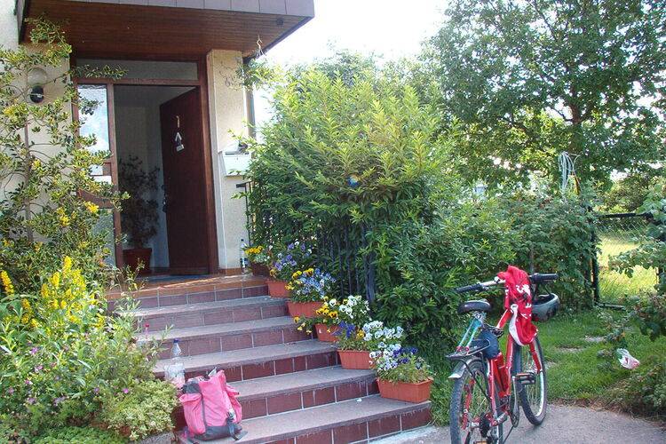 foto8