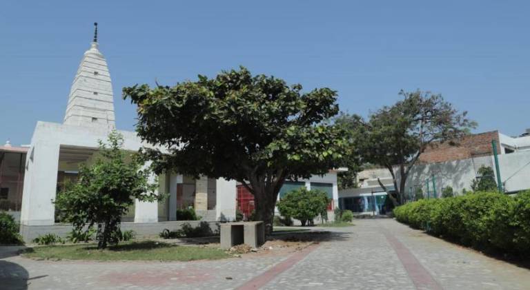 foto5