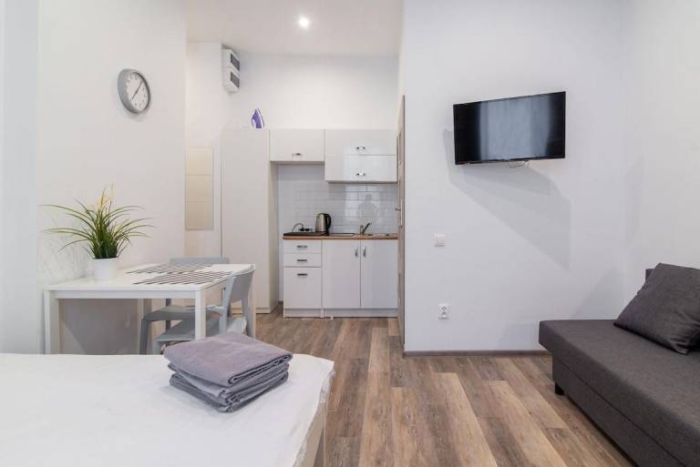 Apartment with 1 room for 4 persons — photo 3