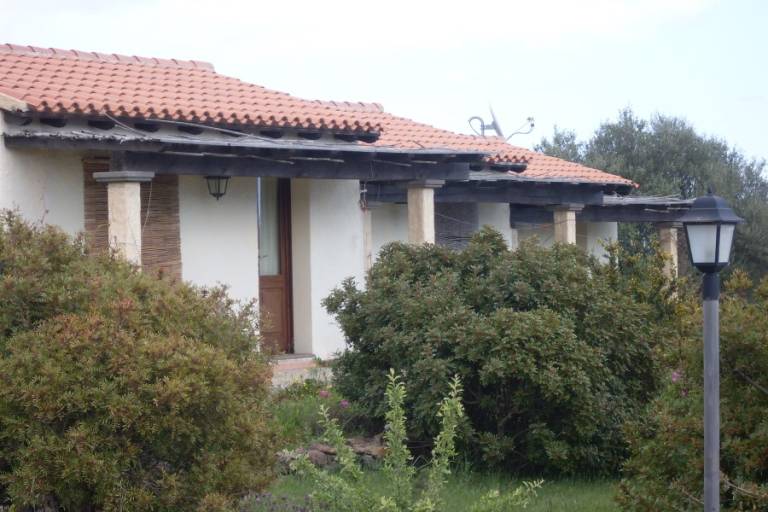 Su Birde: Osalla — photo 3