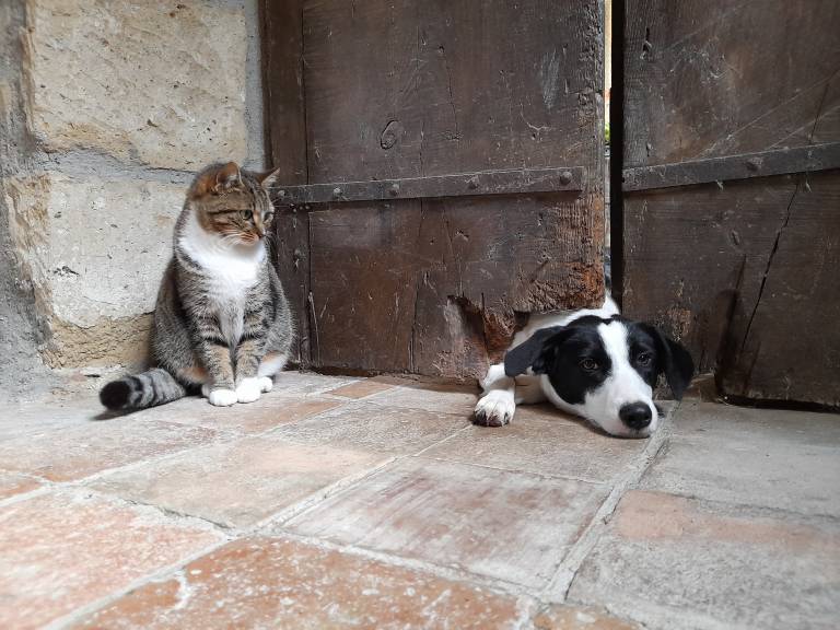 Agriturismo Borgo Rinascimento: La Scuderia — photo 5
