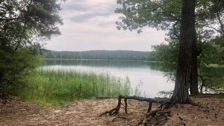foto15