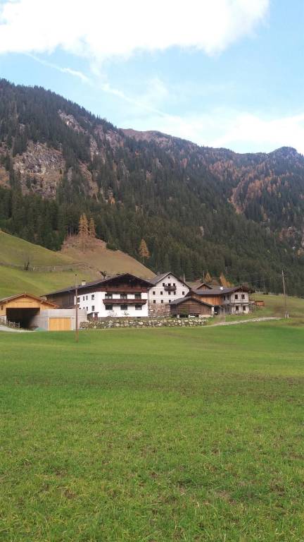 foto11