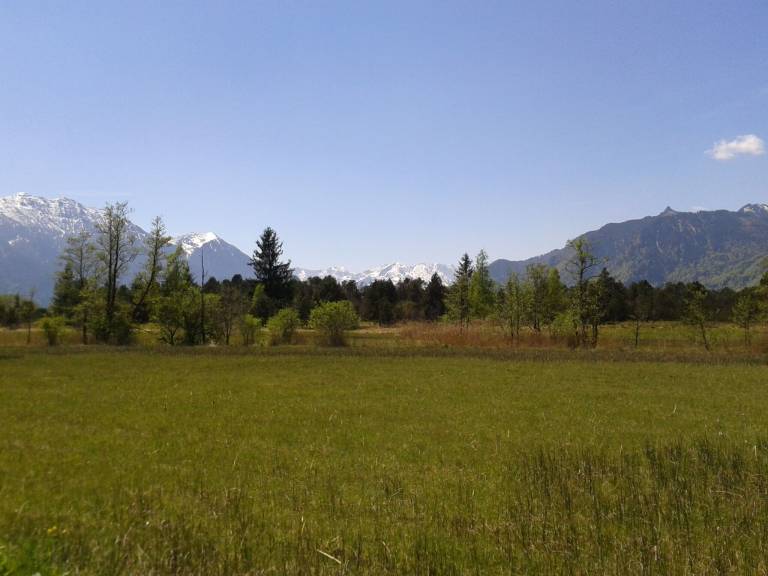 foto12