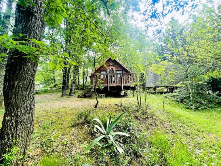 Chalet  Camon