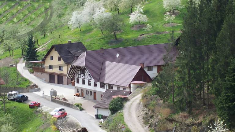 Ferienwohnung Ottenhöfen im Schwarzwald