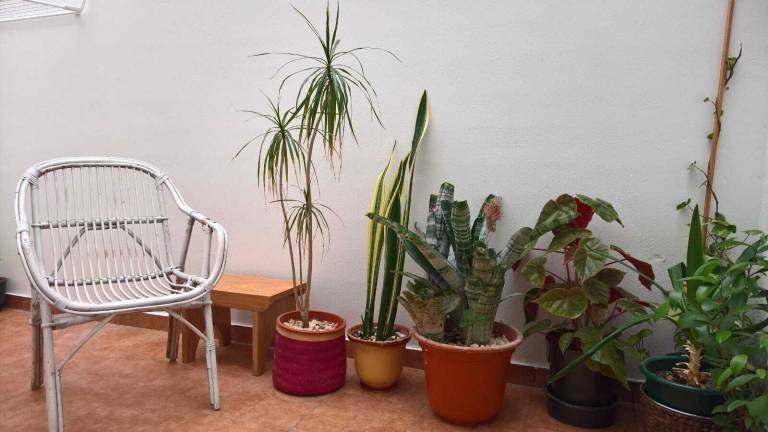 Apartamento Mellid