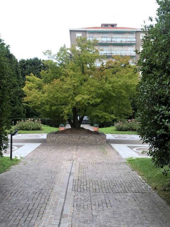 foto11