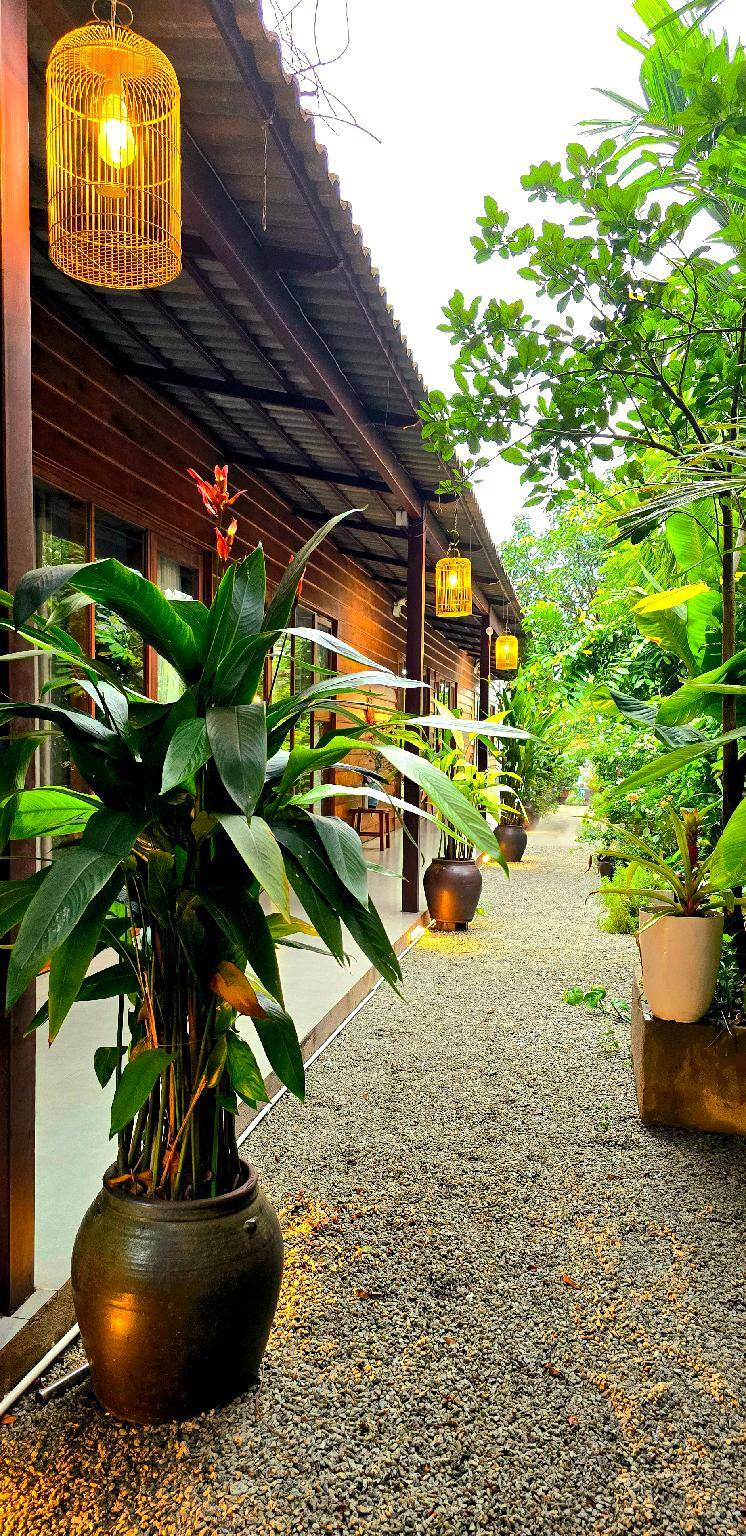 Sam Garden Homestay — photo 3