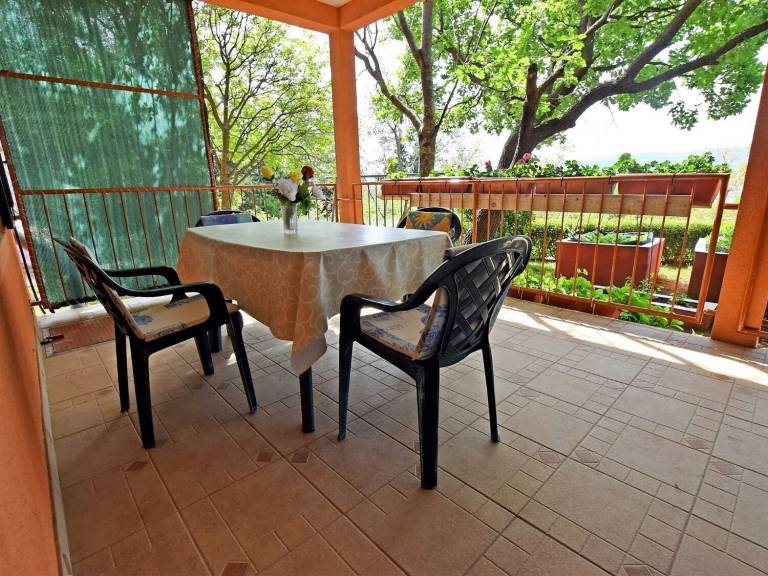 Apartma  Seline