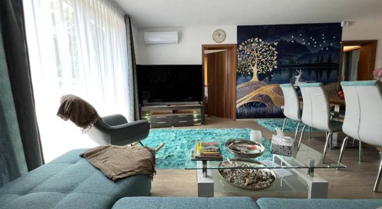 Rental apartment with jacuzzi | Dogs allowed in Sarvar