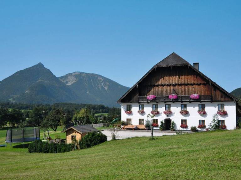 Ferienwohnung in Sankt Wolfgang im Salzkammergut, Gemeinde Sankt Wolfgang im Salzkammergut f&uuml;r max. 2 Personen