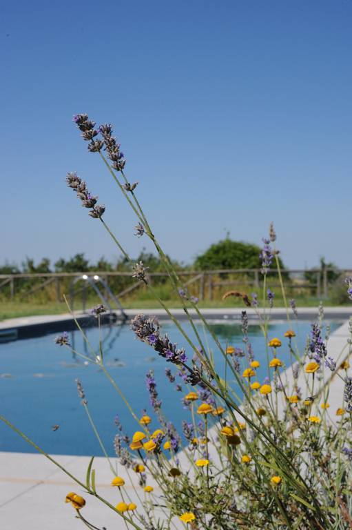 Agriturismo Sassocorvaro
