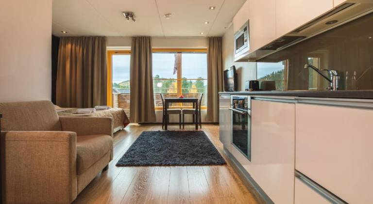 Rental apartment with 1 room for 3 persons in Kittilä
