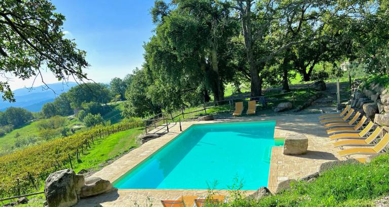 Farm with yard, terrace & pool | Pet-friendly — photo 3