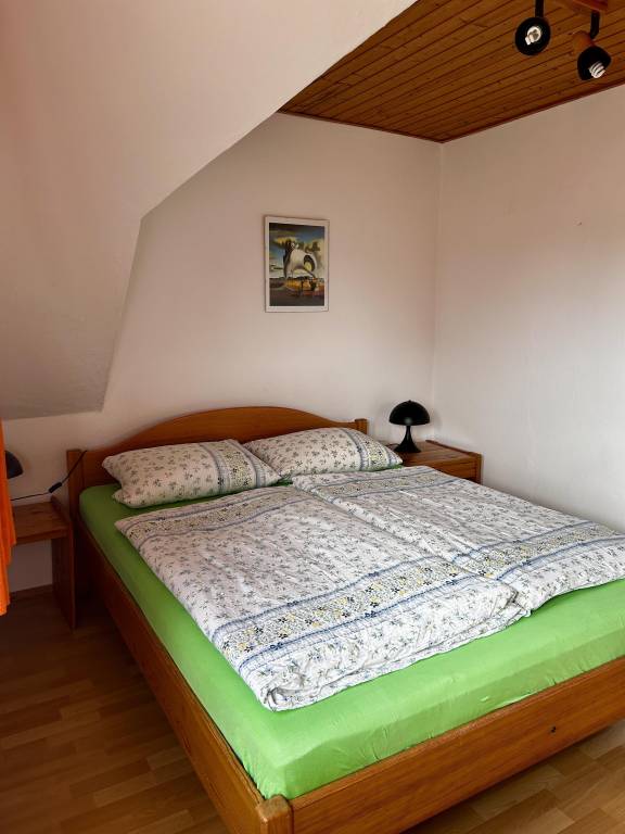 foto19