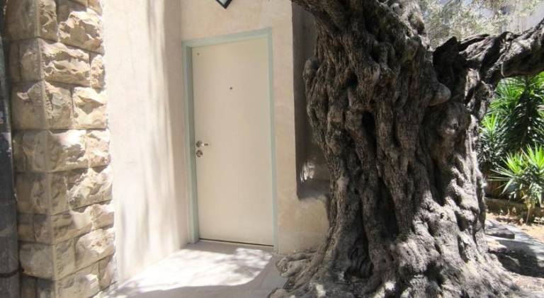 Nice apartment | Pets are welcome in Haifa