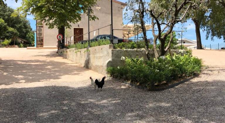 Farm with patio & hot tub in Peschiera del Garda