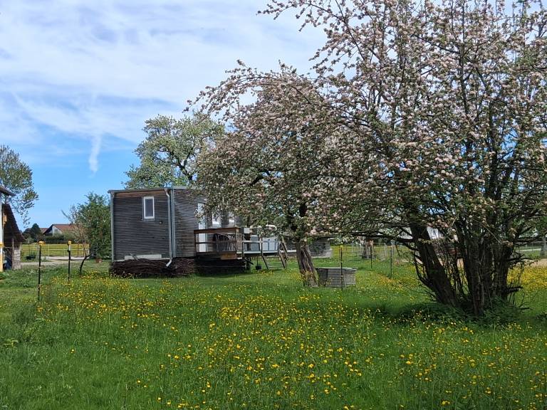 Tiny Home “Lara” with Mountain View, Private Garden and Wi-Fi in Ravensburg