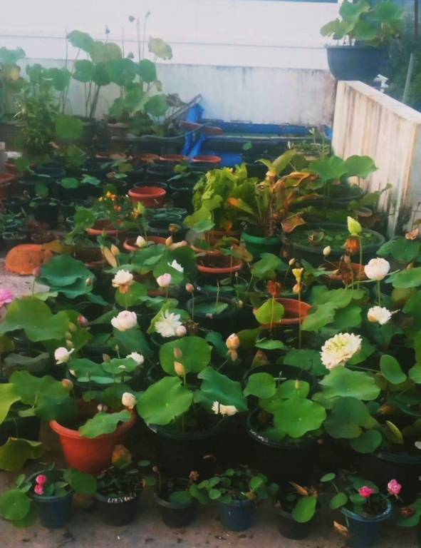 foto11