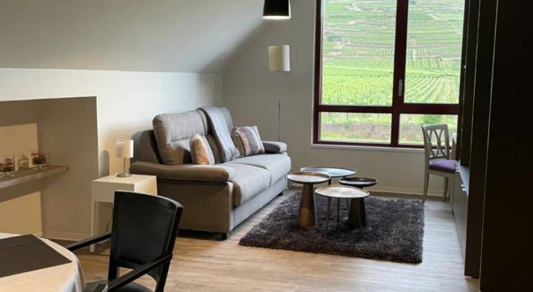 Holiday apartment for 2 persons in Riquewihr