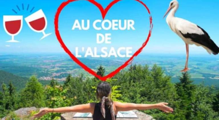 Pleasant house with pool & hot tub | Pets are welcome in Ribeauvillé