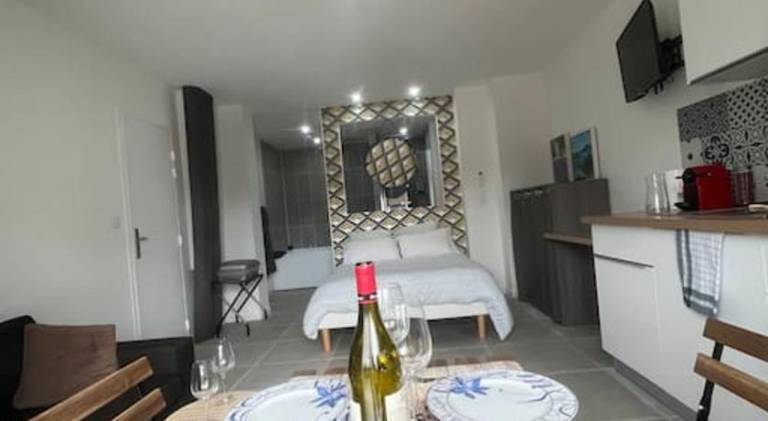 Apartment with jacuzzi | Dogs allowed — photo 5