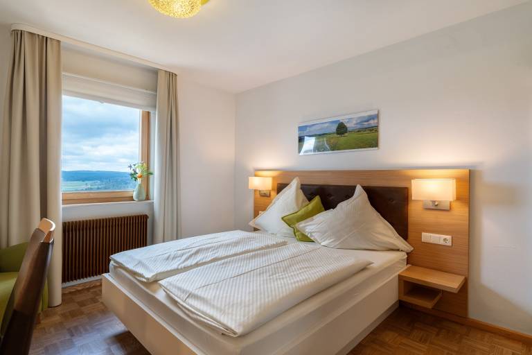 Room 'Panorama' with Shared Terrace, Shared Garden and Wi-Fi in Karlsruhe
