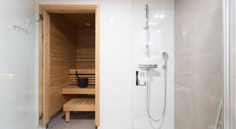 Rental apartment with sauna — photo 5