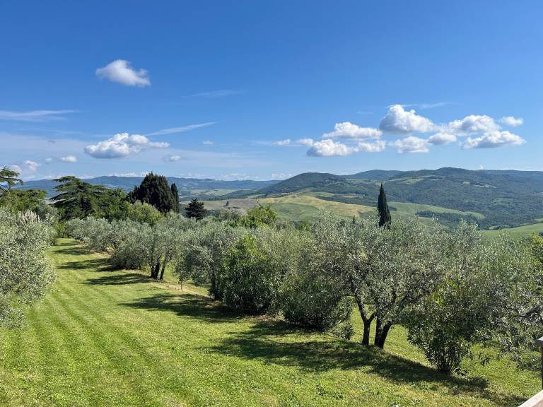 Casa  Volterra