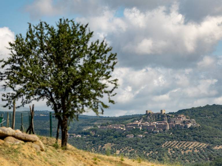 Ferienhaus  Civitella Paganico