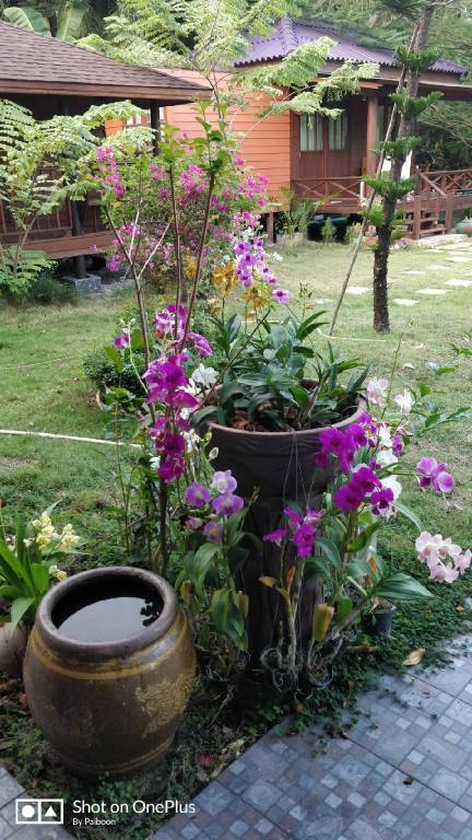 foto32