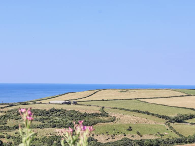 foto4