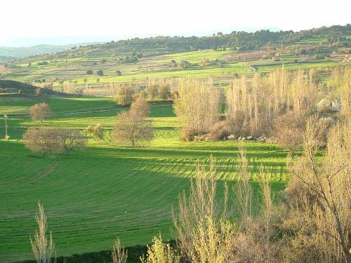 Apartamento  Cañamares