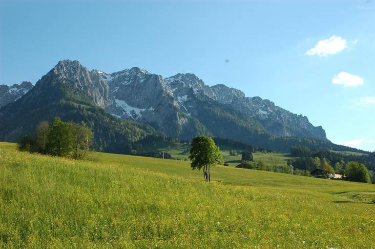 Bauernhof Jagerhof - Familie Mayr — photo 4