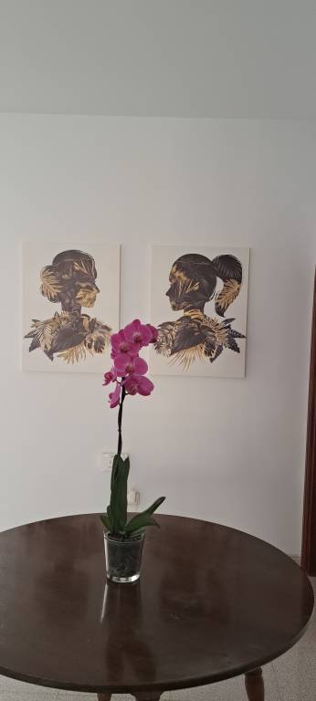 foto24