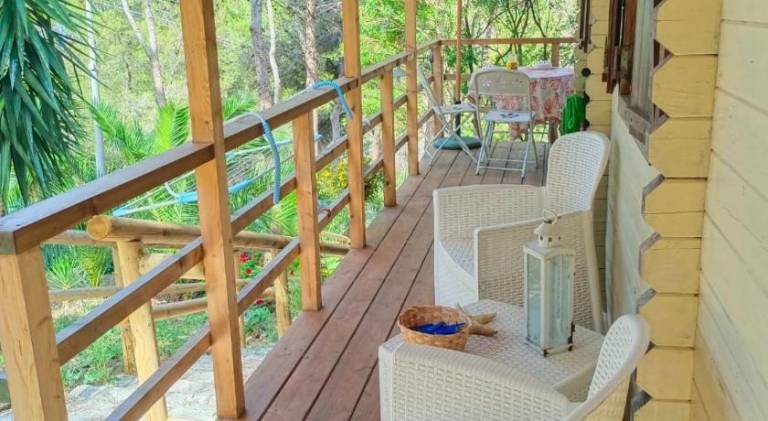 House with pool | Pets allowed — photo 4