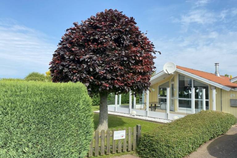 Ferienhaus mit Hund inSchönhagen, Brodersby  f&uuml;r max. 4 Personen